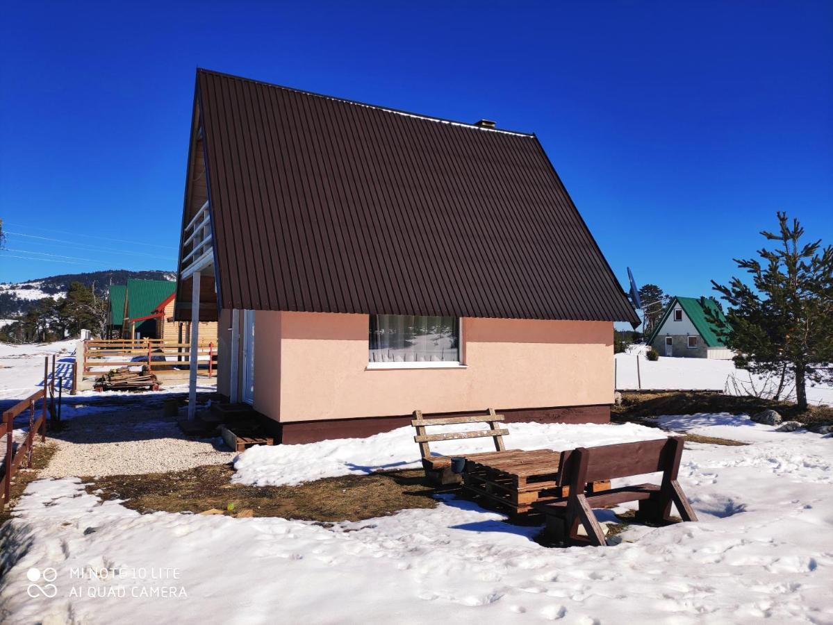 Stay Wild Zabljak  Luaran gambar